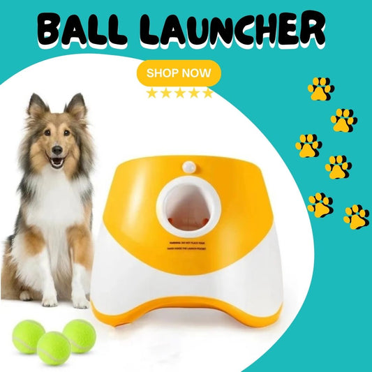 Dog Ball Launcher