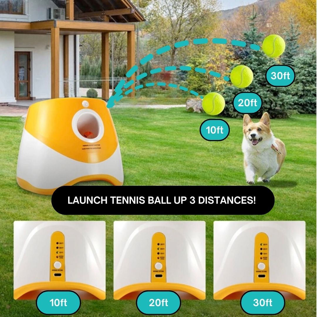 Dog Ball Launcher